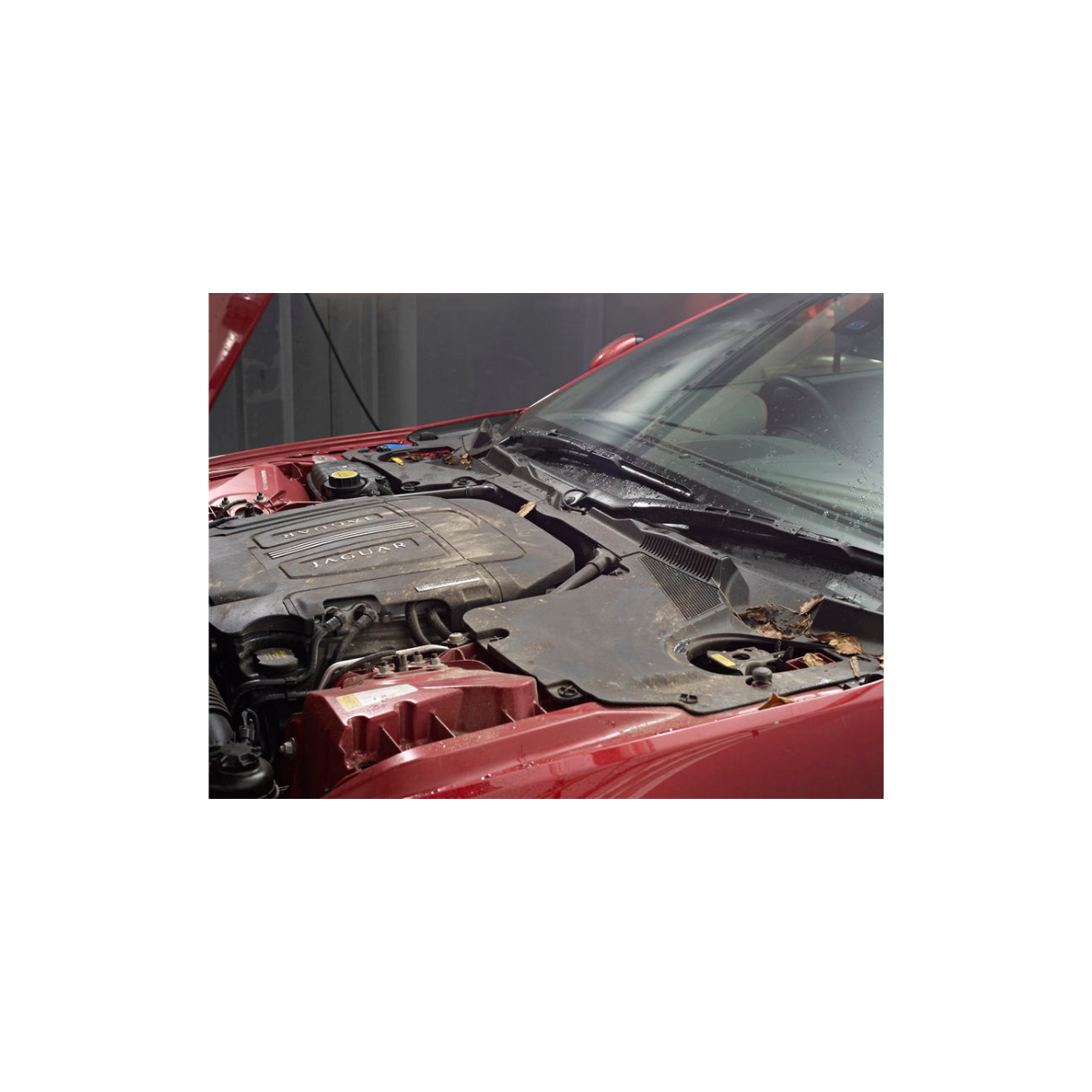 Engine & Machine Cleaner 引擎清洗劑