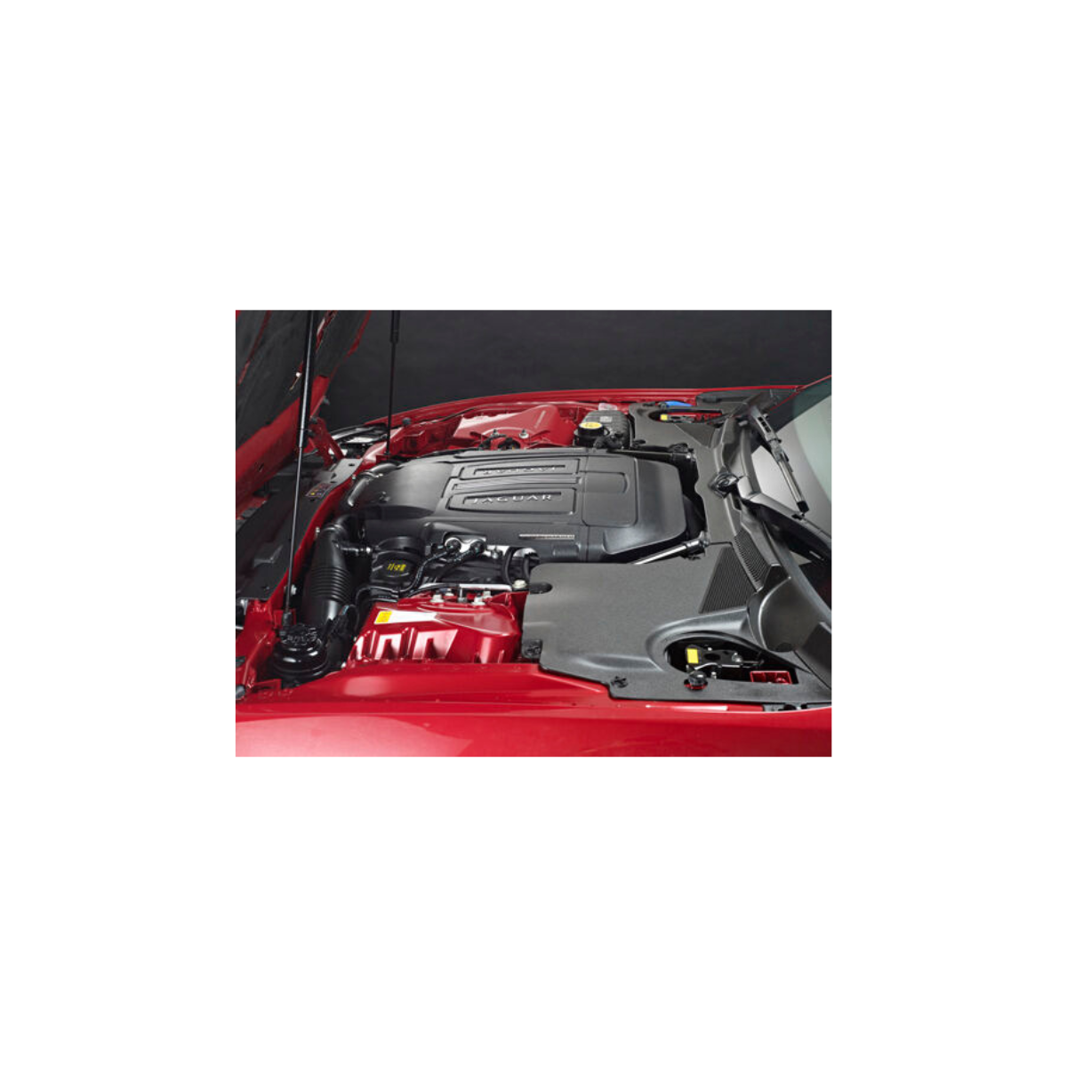 Engine & Machine Cleaner 引擎清洗劑